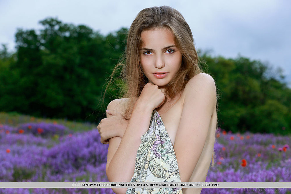 #DESC# Photos